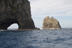 DSC_0302.JPG