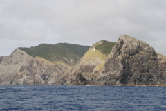 DSC_0303.JPG