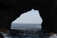 DSC_0310.JPG