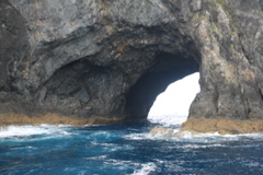 DSC_0312.JPG