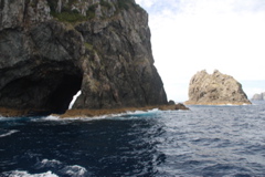DSC_0313.JPG