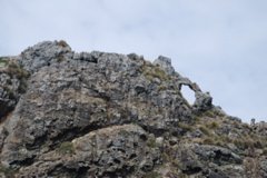 DSC_0314.JPG