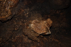 DSC_0036.JPG