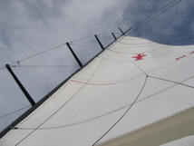 IMG_4000.JPG