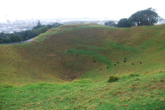 DSC_0342.JPG