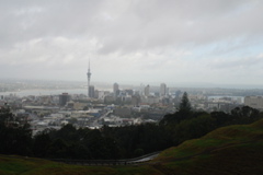 DSC_0344.JPG