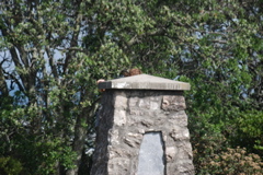 DSC_0353.JPG