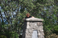 DSC_0354.JPG