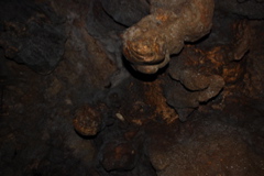 DSC_0040.JPG