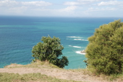 DSC_0356.JPG