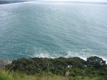 IMG_4019.JPG