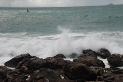 DSC_0363.JPG