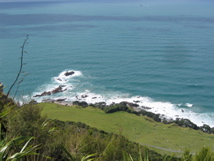 IMG_4023.JPG