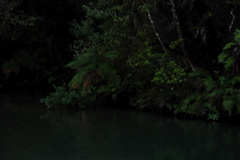 DSC_0367.JPG