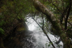 DSC_0369.JPG