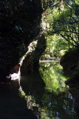 DSC_0043.JPG
