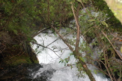 DSC_0370.JPG