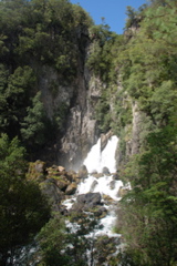 DSC_0375.JPG