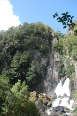 DSC_0376.JPG
