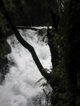 IMG_4034.JPG
