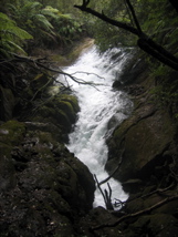IMG_4046.JPG