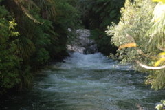 DSC_0377.JPG