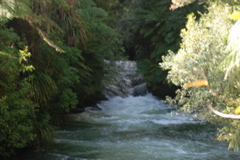DSC_0378.JPG
