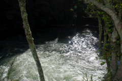 DSC_0379.JPG