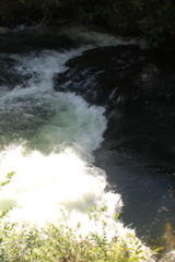 DSC_0380.JPG