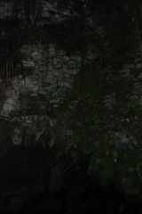 DSC_0046.JPG