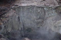DSC_0390.JPG