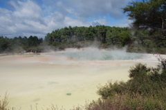 DSC_0392.JPG