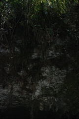 DSC_0047.JPG
