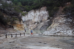 DSC_0403.JPG