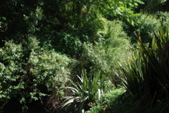 DSC_0048.JPG