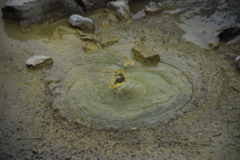 DSC_0405.JPG
