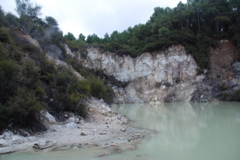 DSC_0408.JPG