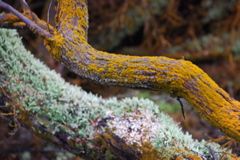 DSC_0412.JPG