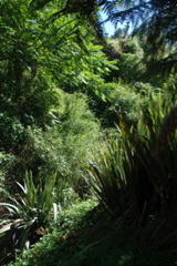 DSC_0049.JPG