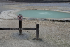DSC_0414.JPG