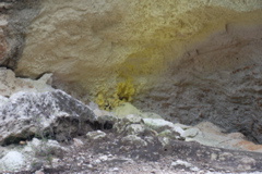 DSC_0415.JPG