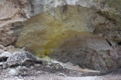 DSC_0416.JPG