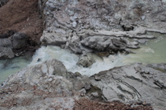 DSC_0417.JPG