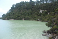 DSC_0418.JPG