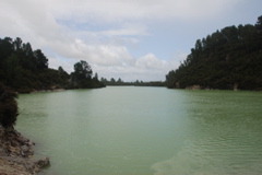 DSC_0419.JPG