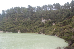 DSC_0420.JPG