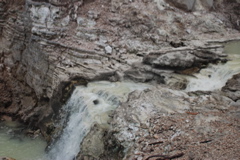 DSC_0421.JPG