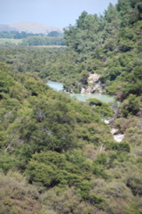 DSC_0426.JPG