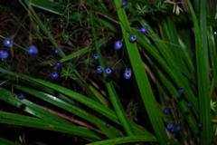 DSC_0428.JPG