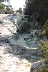 DSC_0430.JPG